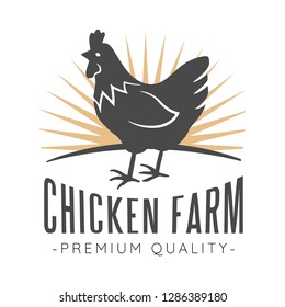 chicken logo badges in colored flat style featuring chickens illustrations with labels and design elements. Suitable for farm designs