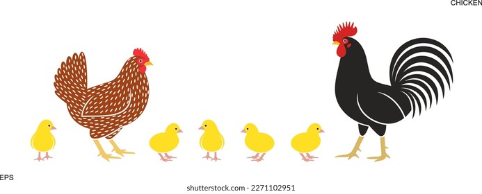 Chicken logo. Isolated  chicken on white background