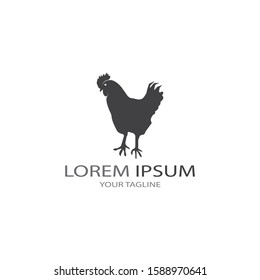 Chicken logo vector illustration template