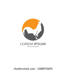 Chicken logo vector illustration template