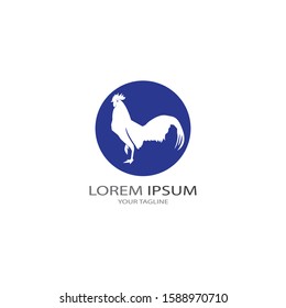 Chicken logo vector illustration template