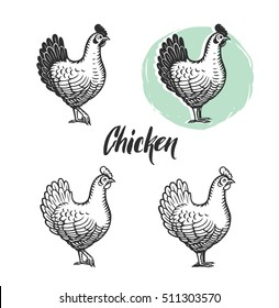 Chicken logotypes set. Hen meat and eggs vintage produce elements. Badges and design elements depicting chicken. Vector illustration