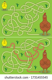 Chicken maze for kids with a solution
