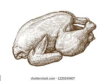 Chicken Meat, Broiler Sketch. Food, Butcher Shop Concept. Hand-drawn Vintage Vector Illustration