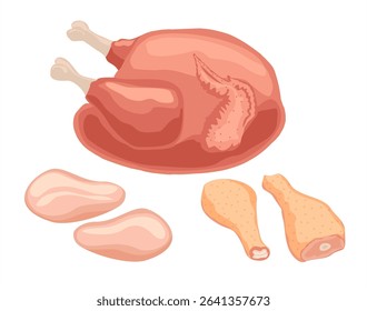 Chicken meat: chicken carcass, legs, breast. Raw chicken with legs and wings, fillet and frozen chicken meat flat vector illustration set. Vector meat isolated on white background