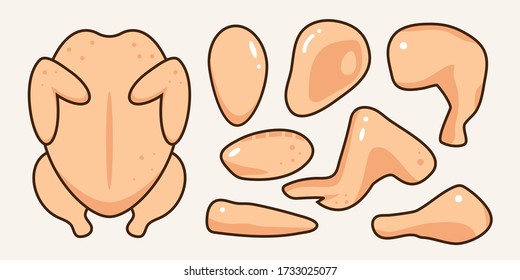 Chicken meat collection: part of sliced chic. Farm hen product vector illustration flat drawing in light background..