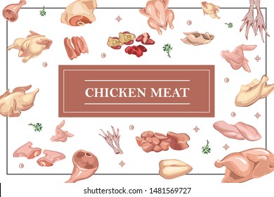 Chicken meat colorful concept with legs hearts livers feet fillet wings breast ham thigh whole chicken spices vector illustration
