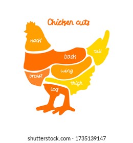 Chicken meat cut diagram vector 