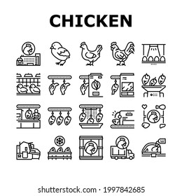 Chicken Meat Factory Collection Icons Set Vector. Chicken Feather Pluck And Washing Machine, Conveyor And Refrigerator For Frozen Carcass Black Contour Illustrations