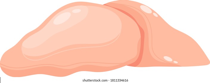 Chicken meat, fried poultry, cooked dinner, hen breast cooking, isolated on white, design, flat style vector illustration. Dutcher restaurant, cuisine symbol, delicious hot lunch, farm logo.