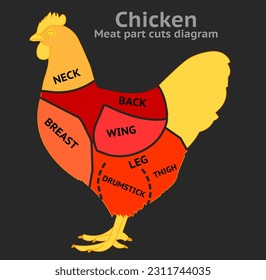 Chicken meat part cuts diagram. Breast, halves thighs, drumsticks, wings, leg, back, neck, breast thigh. Poultry, turkey, birds whole eaten pieces. Butchers Red pink black body. Illustration vector