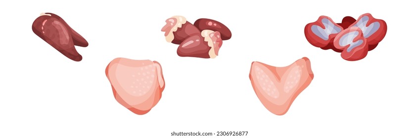 Pieza de carne de pollo como conjunto de vectores de productos frescos de la granja