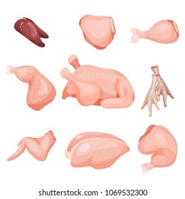 Chicken Meat Part Set, Parts Of Carcass, Brisket Wing, Fillet, Legs, Liver, Vector Illustrations On A White Background