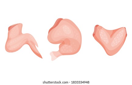 Chicken Meat Part with Wing and Leg as Farm Product Vector Set