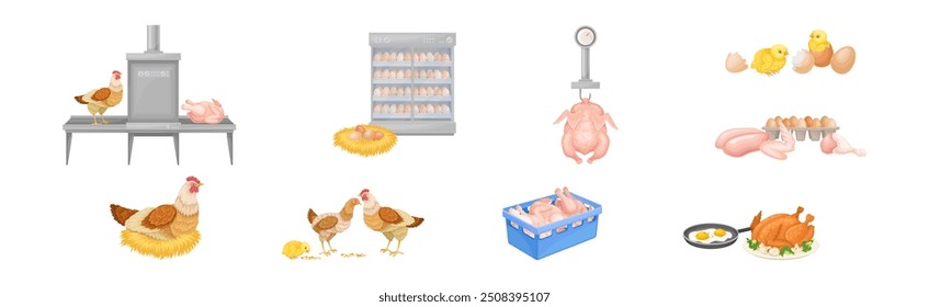 Chicken Meat Produce with Poultry Farm Food Vector Set