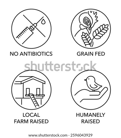 Chicken meat quality icons set. No antibiotics, Grain-fed, Local farm raised, Humanely raised. Pictograms for labeling in thin line