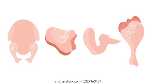 778 Part Of Body Fresh Stock Vectors, Images & Vector Art | Shutterstock