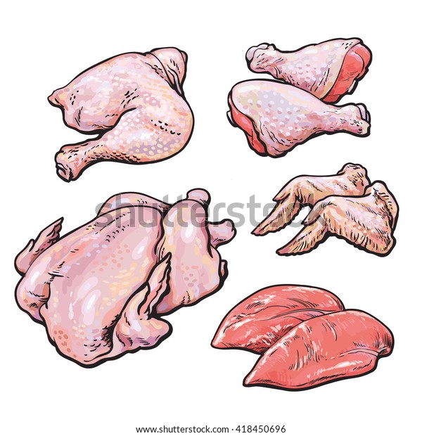 Huhnerfleisch Set Mit Handgezeichnet Vektorgrafik Die Korperteile Stock Vektorgrafik Lizenzfrei