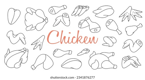 Chicken meats outline sketch set. Butcher shop. Chicken farming products. Whole chicken, brisket wing, fillet, ham, leg, breast, shank, drumstick.