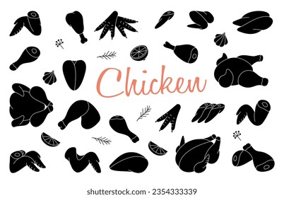 Chicken meats part set. Butcher shop. Chicken farming products. Whole chicken, brisket wing, carcass, fillet, ham, leg, breast, shank, drumstick.