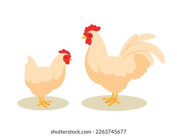 Chicken mother with kid. Chick looks at rooster and cockerel. White animals with feathers and wings. Agriculture and farming. Wild life and fauna. Cartoon flat vector illustration