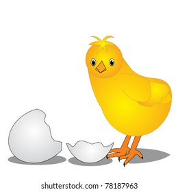 The Chicken near by split egg, is insulated on white.
