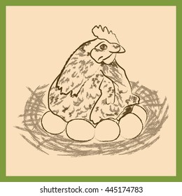 Chicken in the nest with eggs. Sketch. Kindness and care.