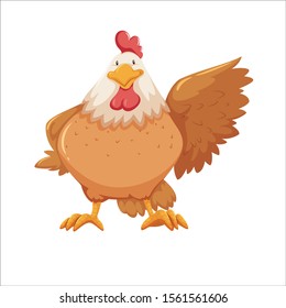 
chicken on a white background