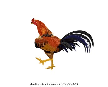 Pollo sobre fondo blanco.