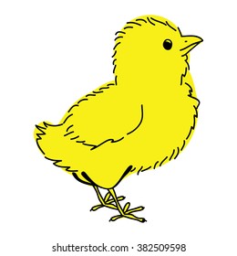 Chicken on a white background. Colorful hand drawing.