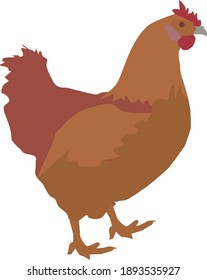 chicken on a white background to decorate natural products