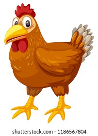A chicken on white background illustration
