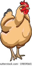 pollo en un fondo blanco de arte vectorial para el diseño