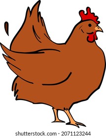 Chicken on a white background, vector