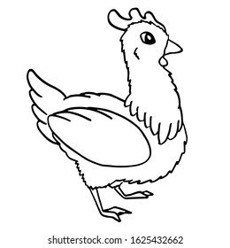 Chicken on white isolated backdrop. Outline rooster for invitation or gift card, notebook, poultry farm logo, bath tile, scrapbook. Phone case or cloth print. Doodle style stock vector illustration