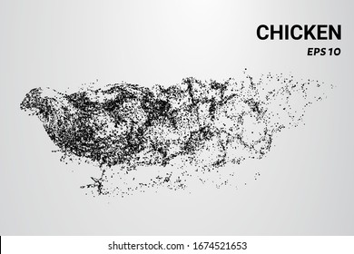 Chicken of the particles. The chicken consists of circles and dots. The chicken splits into molecules.