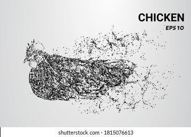 Chicken of the particles. The chicken consists of circles and dots.