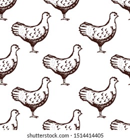 Chicken Pattern Seamless Hand Drawn on White Background. Vector