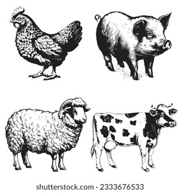 Chicken, pig, sheep and cow, farm animals. Hand-drawn engraving style illustrations.