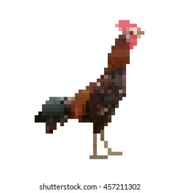 chicken pixel art vector. isolated animal farm