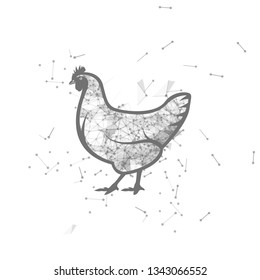 chicken.  Polygonal wireframe chicken silhouette. low poly vector illustrations on background of points and lines.