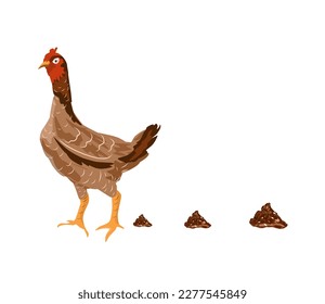 das Huhn kopft auf weißem Hintergrund