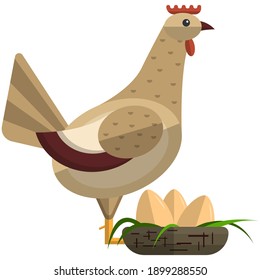 Chicken poultry bird icon, flat vector illustration isolated on white background. Farm bird. Domestic fowls.