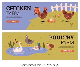 Chicken and poultry farm banners set. Domestic birds in yard and pond. Vector illustration of rooster, hen, chick, goose, duck, quail on the farmland background. Design for advertising, web.