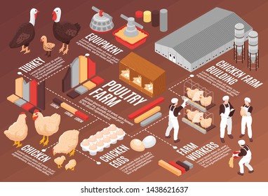 Chicken Poultry Farm Isometric Flowchart Poster With Meat Eggs Production Equipment Farm Workers Buildings Birds Vector Illustration 