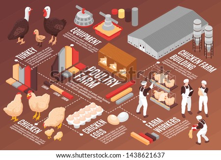 Chicken poultry farm isometric flowchart poster with meat eggs production equipment farm workers buildings birds vector illustration 