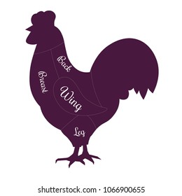Chicken poultry fowl meat cuts butcher vector icon