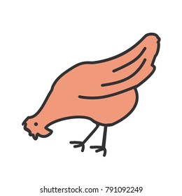Chicken, poultry icon