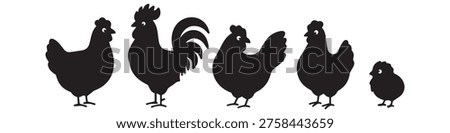 Chicken and Poultry Line Icon Set, Hen, Rooster and Chick Farm Animal Symbols.