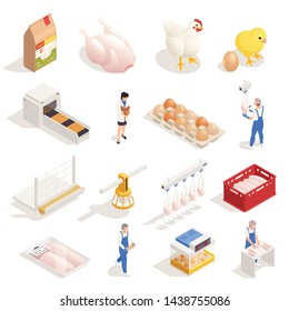 Chicken poultry production farm isometric elements set with hen eggs incubator hatched chicken meat packaging vector illustration  